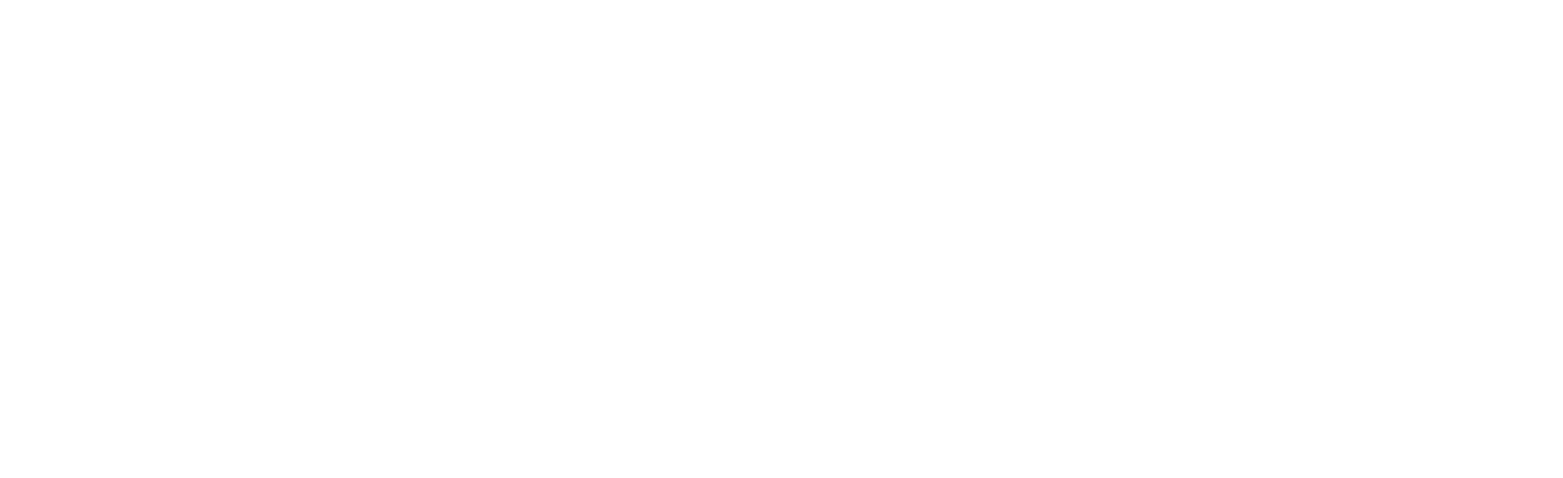 Priscilla-king-investment-realtor-atx-commercial